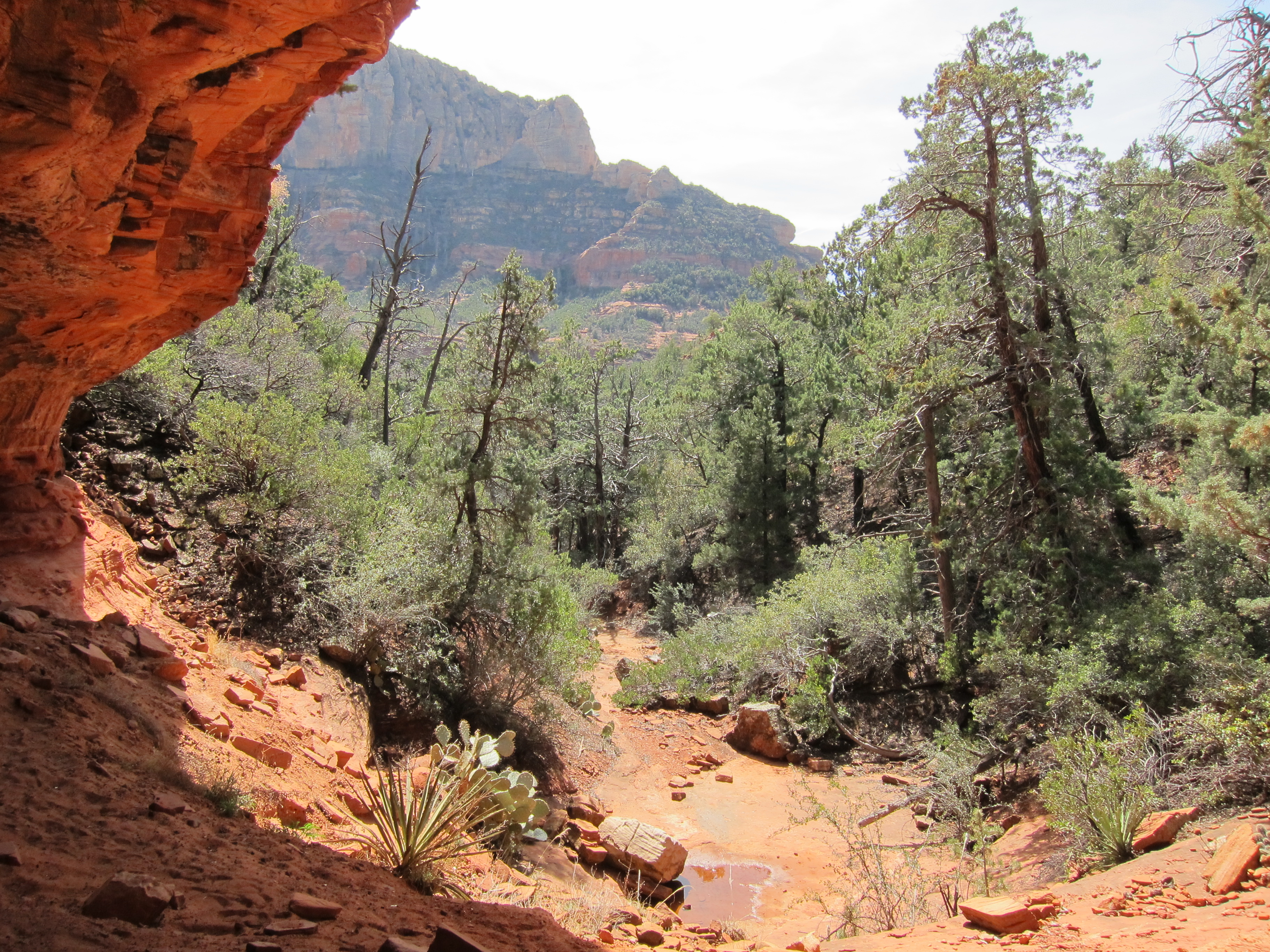 Narrow Canyon
